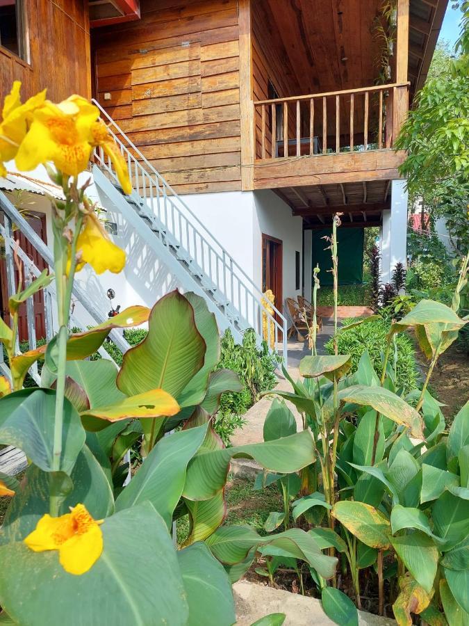 Om Home Sihanoukville Bagian luar foto